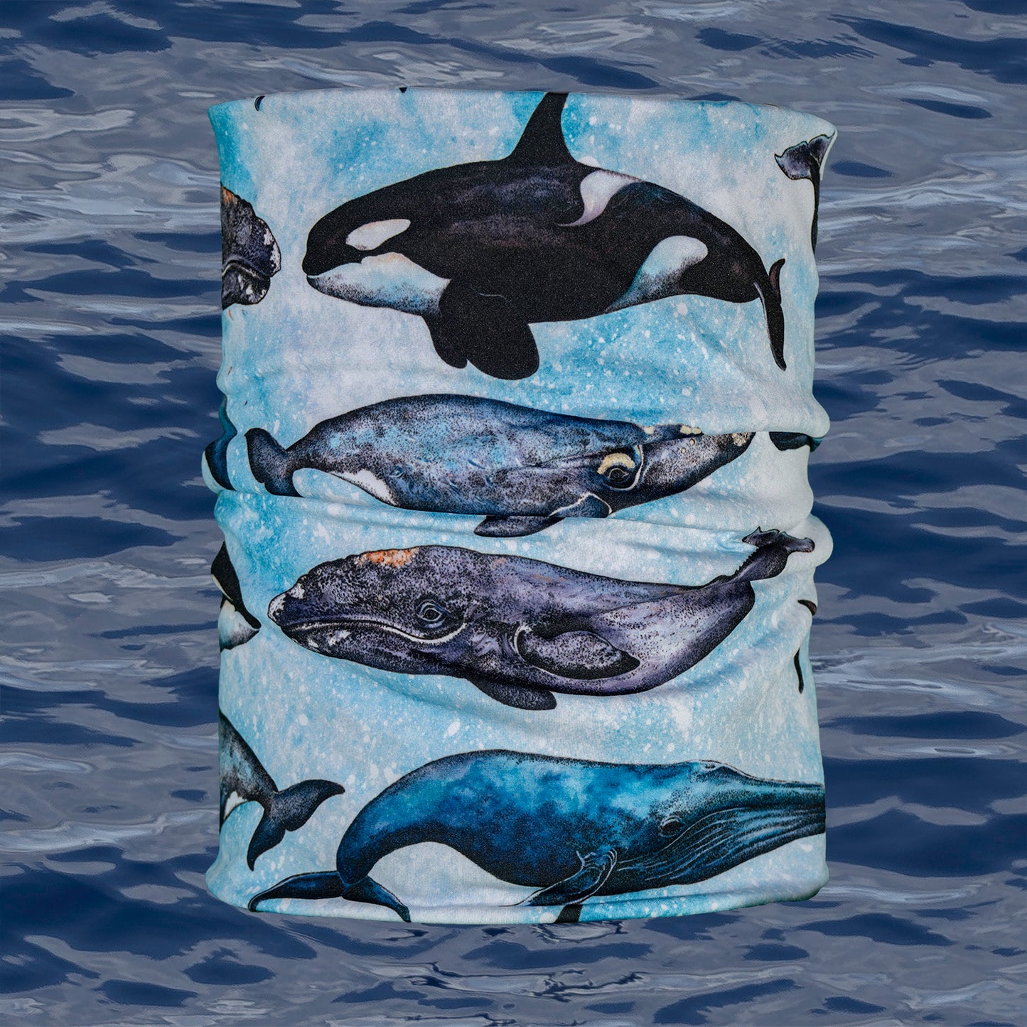 Polar Tube - Mixed Whales