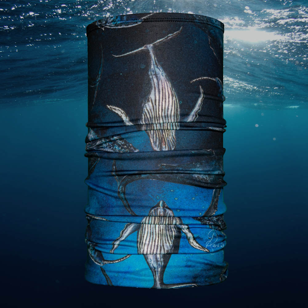 Explorer Tube - Humpback Dreams