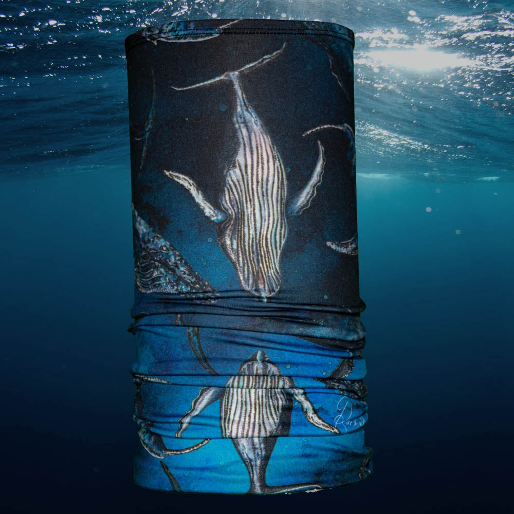 Explorer Tube - Humpback Dreams