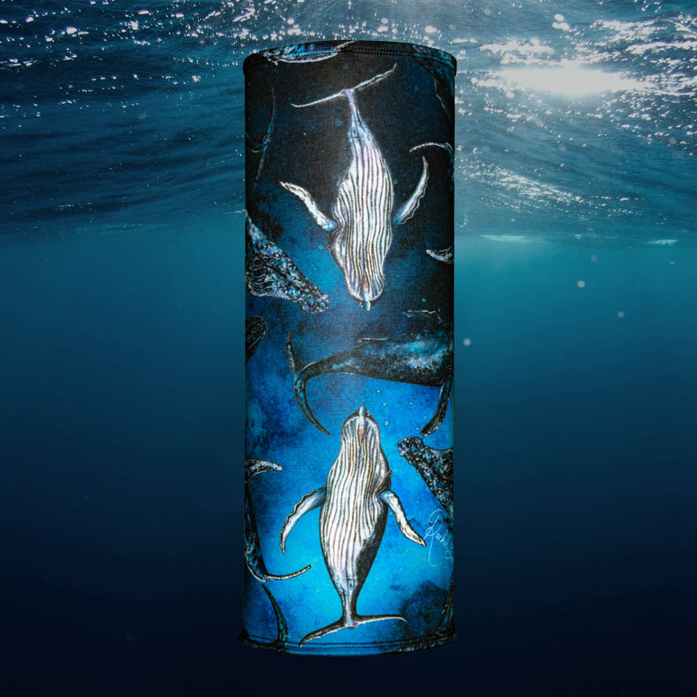 Explorer Tube - Humpback Dreams