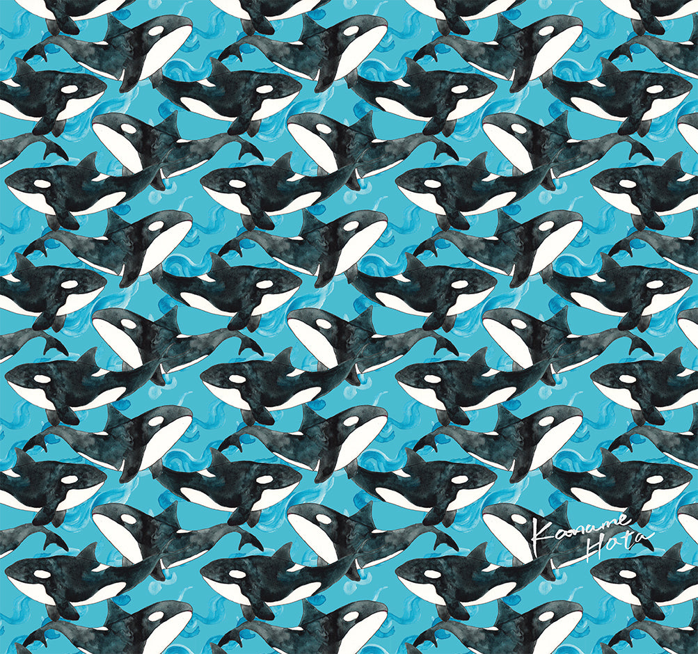 Explorer Tube - Orca on Teal