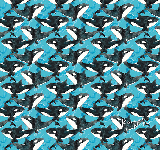 Explorer Tube - Orca on Teal