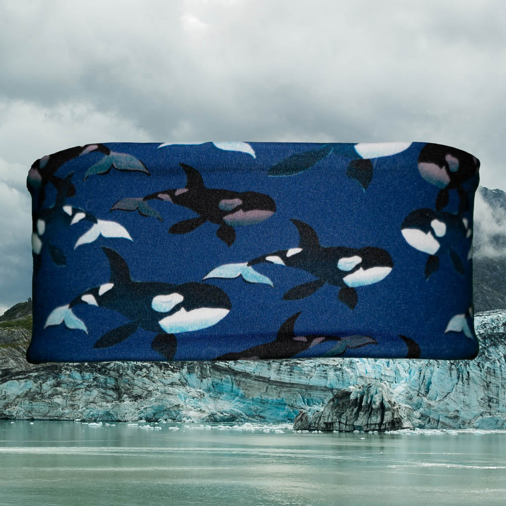 Polar Headband - Blue Killer Whales