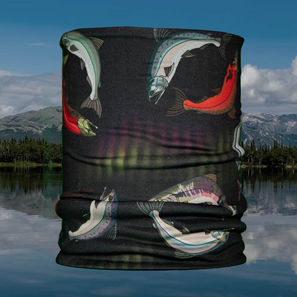 Polar Tube - Salmon in the Lights