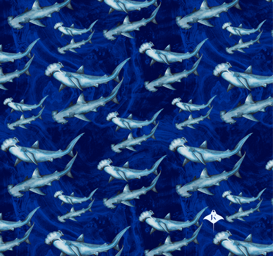 Explorer Tube - Shark Parade