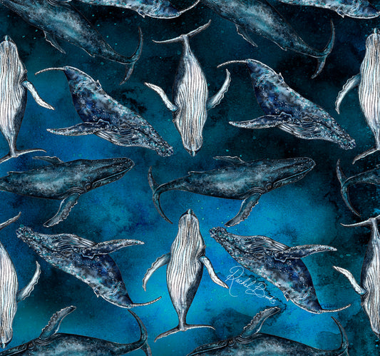 Explorer Tube - Humpback Dreams