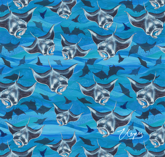 Explorer Tube - Manta Magic