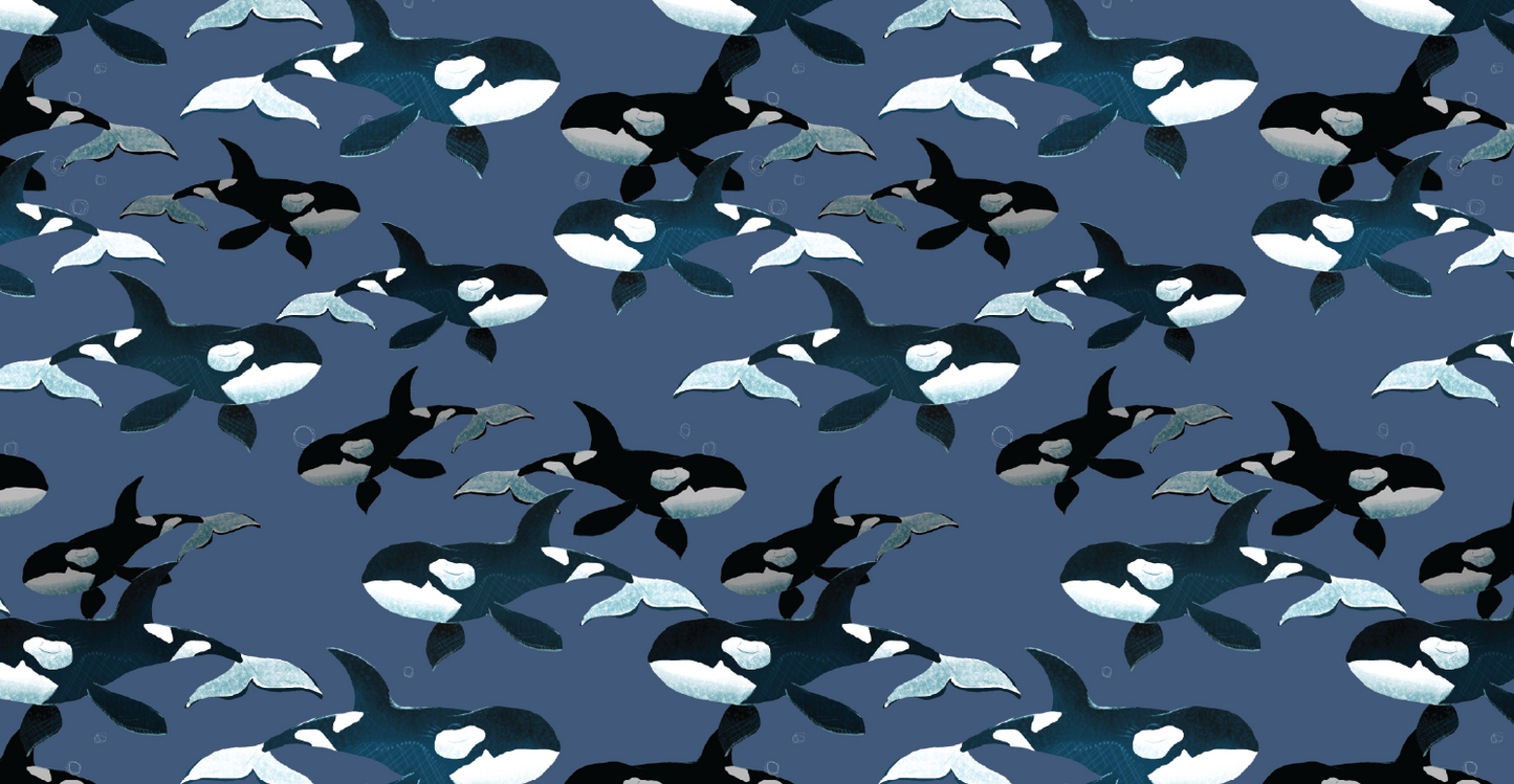 Polar Headband - Blue Killer Whales