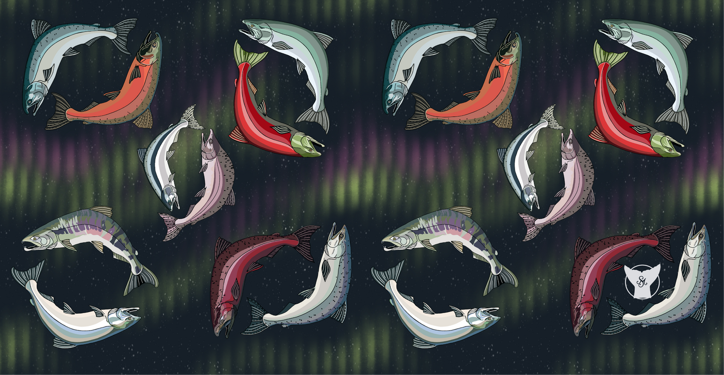 Polar Tube - Salmon in the Lights