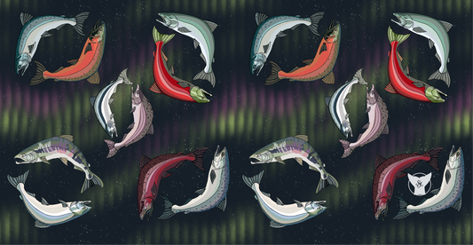 Polar Tube - Salmon in the Lights